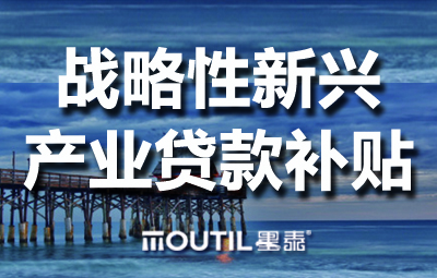 2018年战略性新兴贷款补贴重点支持领域